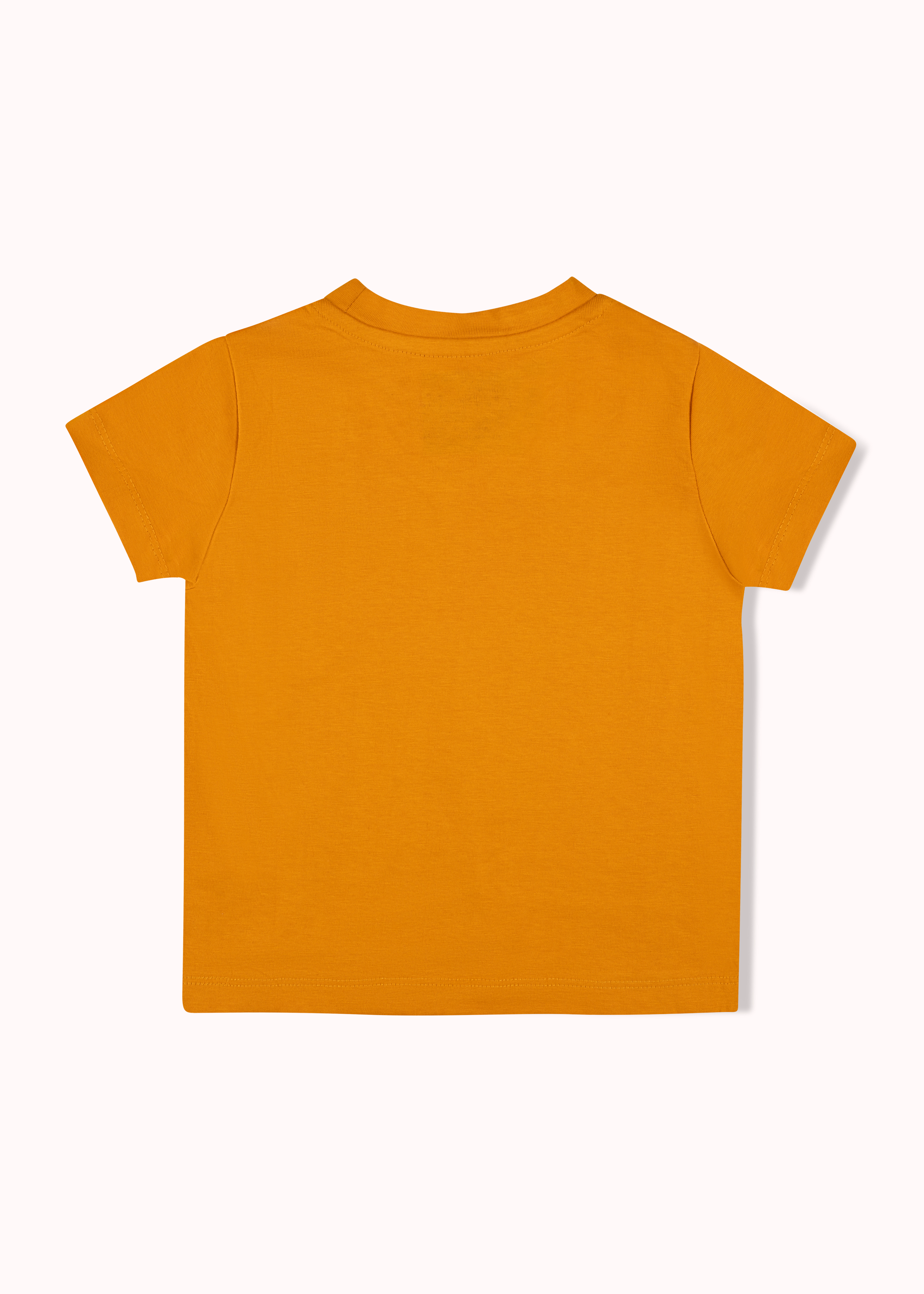 2 Pack printed boys t-shirt