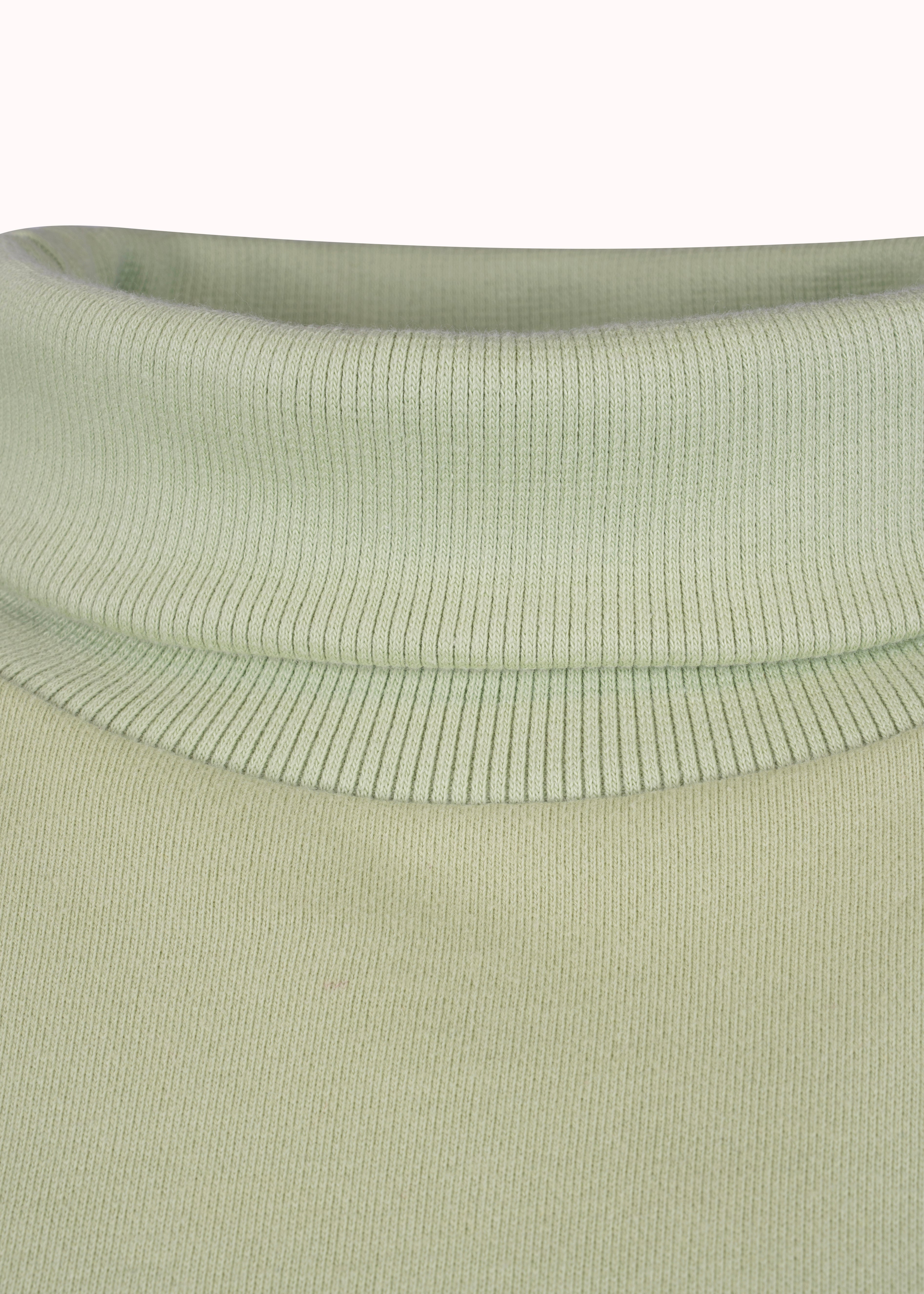 Jaded green loop knit cotton printed sweatshirt